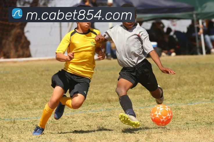 体育直播服务